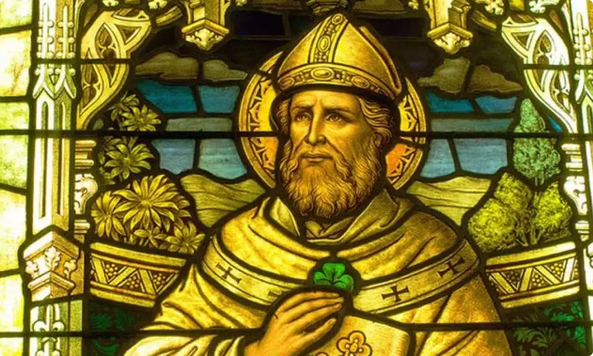 Stained glass window depicting a bearded man in religious robes and a bishop’s hat, holding a green shamrock—a nod to the history of St Patrick in Ireland—adorned with decorative patterns and nature scenes in the background.